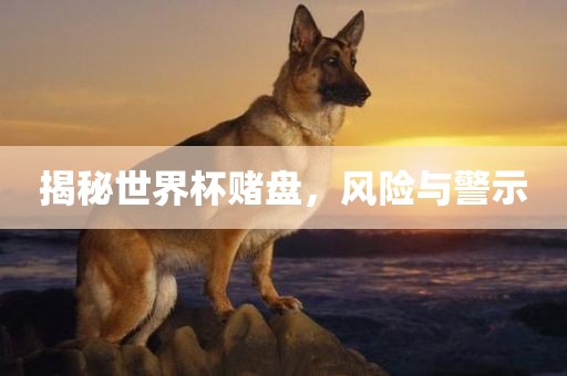 揭秘世界杯赌盘，风险与警示