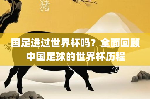 国足进过世界杯吗？全面回顾中国足球的世界杯历程