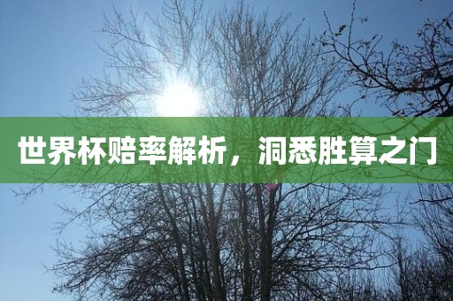 世界杯赔率解析，洞悉胜算之门