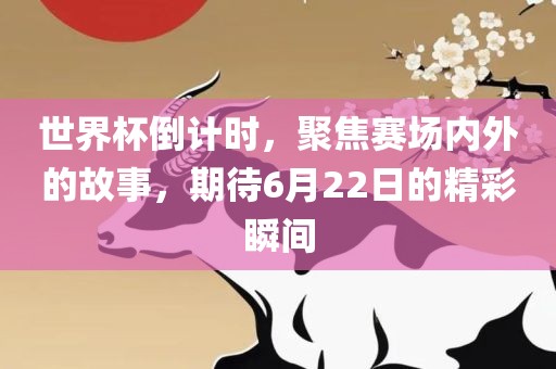 世界杯倒计时，聚焦赛场内外的故事，期待6月22日的精彩瞬间
