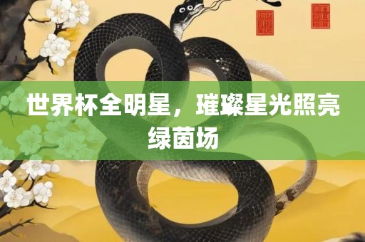 世界杯全明星，璀璨星光照亮绿茵场
