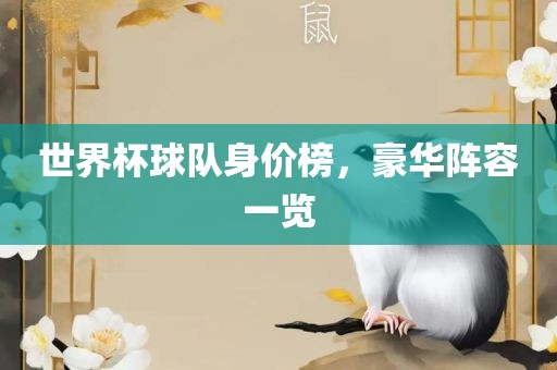 世界杯球队身价榜，豪华阵容一览