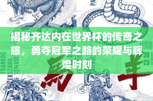 揭秘齐达内在世界杯的传奇之旅，勇夺冠军之路的荣耀与辉煌时刻
