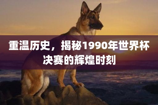 重温历史，揭秘1990年世界杯决赛的辉煌时刻