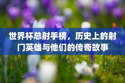 世界杯总射手榜，历史上的射门英雄与他们的传奇故事