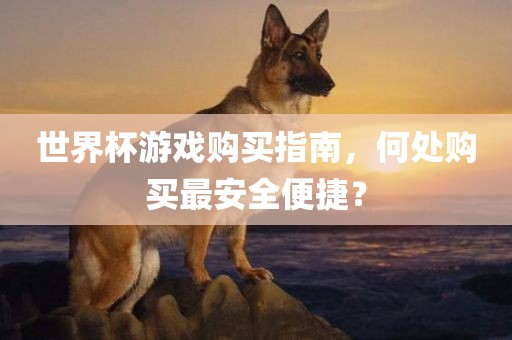 世界杯游戏购买指南，何处购买最安全便捷？