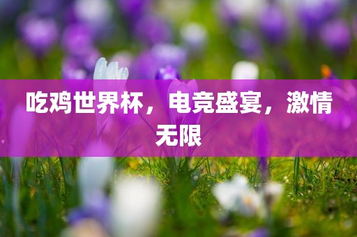 吃鸡世界杯，电竞盛宴，激情无限