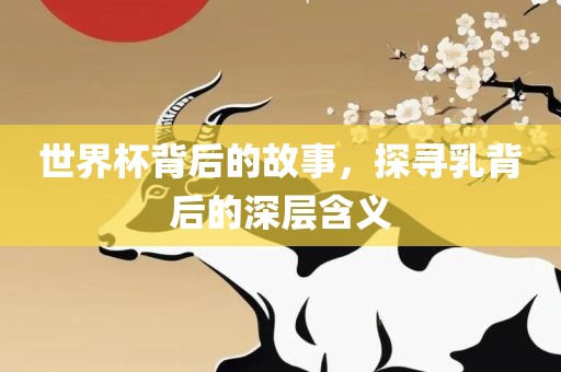 世界杯背后的故事，探寻乳背后的深层含义