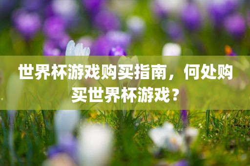 世界杯游戏购买指南，何处购买世界杯游戏？