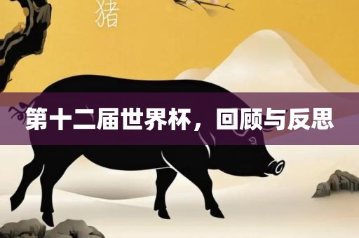 第十二届世界杯，回顾与反思