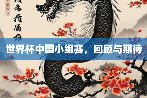 世界杯中国小组赛，回顾与期待