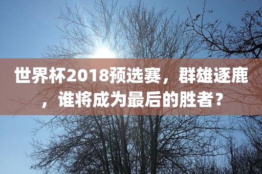 世界杯2018预选赛，群雄逐鹿，谁将成为最后的胜者？