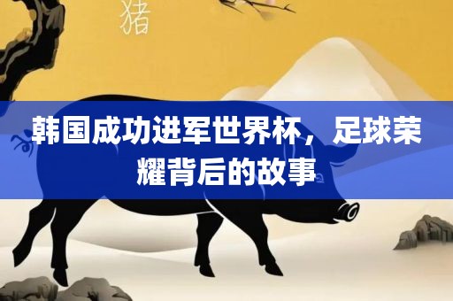 韩国成功进军世界杯，足球荣耀背后的故事
