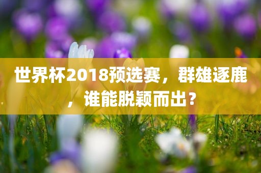 世界杯2018预选赛，群雄逐鹿，谁能脱颖而出？