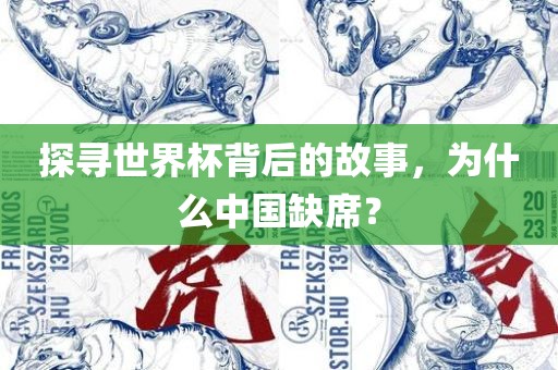 探寻世界杯背后的故事，为什么中国缺席？