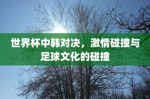 世界杯中韩对决，激情碰撞与足球文化的碰撞