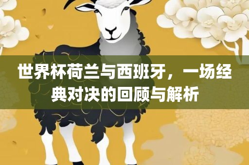世界杯荷兰与西班牙，一场经典对决的回顾与解析