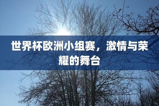 世界杯欧洲小组赛，激情与荣耀的舞台
