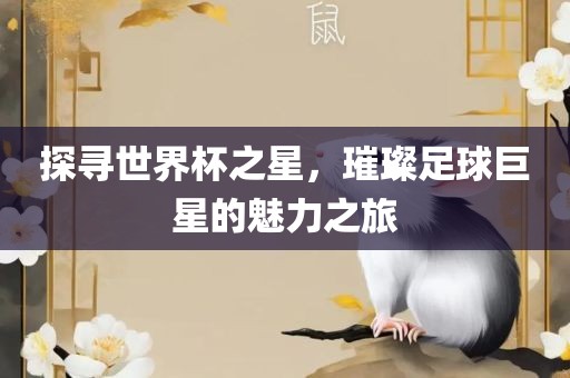 探寻世界杯之星，璀璨足球巨星的魅力之旅