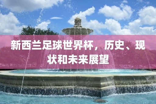新西兰足球世界杯，历史、现状和未来展望