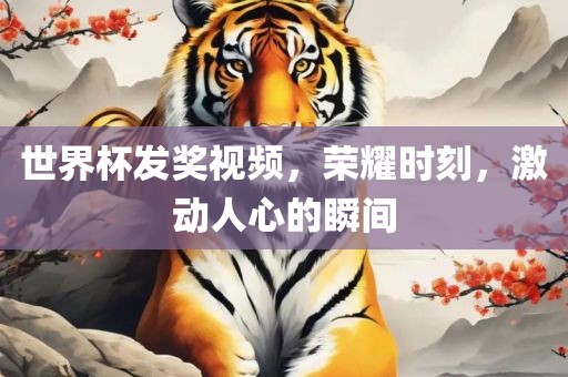 世界杯发奖视频，荣耀时刻，激动人心的瞬间