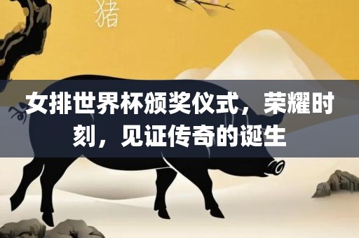 女排世界杯颁奖仪式，荣耀时刻，见证传奇的诞生