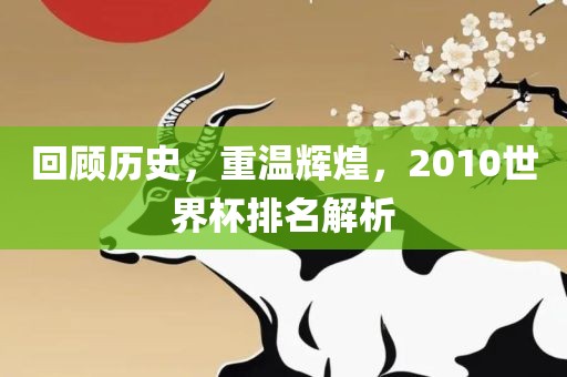 回顾历史，重温辉煌，2010世界杯排名解析