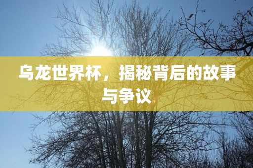 乌龙世界杯，揭秘背后的故事与争议