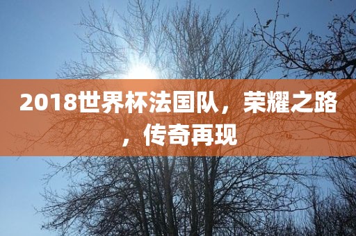 2018世界杯法国队漯河市盈旭机械设备有限公司，荣耀之路，传奇再现