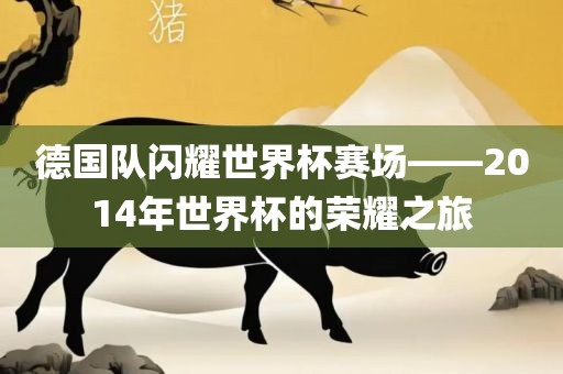 德国队闪耀世界杯赛场——2014年世界杯的荣耀之旅