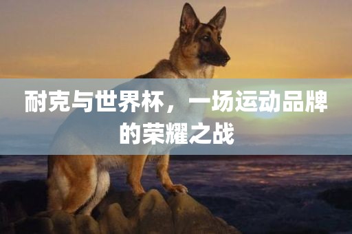 耐克与世界杯，一场运动品牌的荣耀之战漯河市盈旭机械设备有限公司