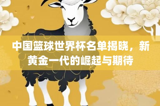 中国篮球世界杯名单揭晓，新黄金一代的崛起与期待