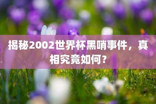 揭秘2002世界杯黑哨事件，真相究竟如何？
