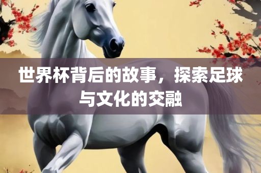 世界杯背后的故事，探索足球与文化的交融