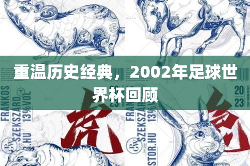 重温历史经典，2002年足球世界杯回顾