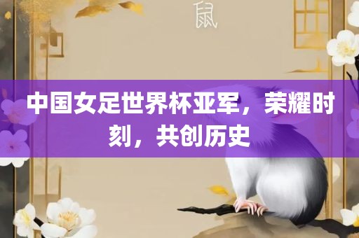 中国女足世界杯亚军，荣耀时刻，共创历史