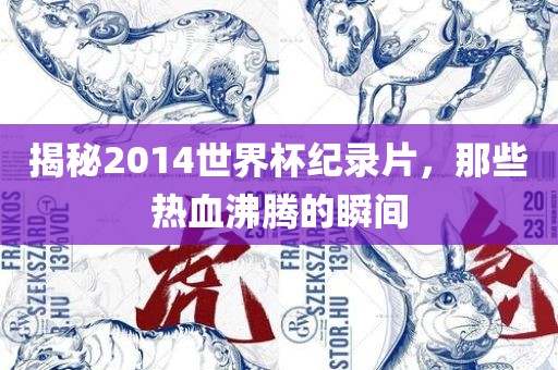 揭秘2014世界杯纪录片，那些热血沸腾的瞬间