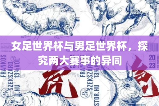 女足世界杯与男足世界杯，探究两大赛事的异同