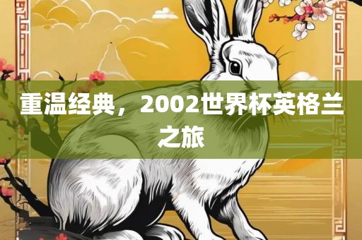 重温经典，2002世界杯英格兰之旅