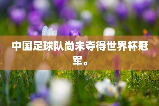 中国足球队尚未夺得世界杯冠军。