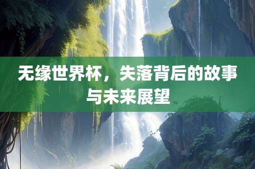 无缘世界杯，失落背后的故事与未来展望