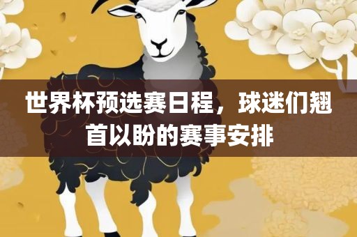 世界杯预选赛日程，球迷们翘首以盼的赛事安排