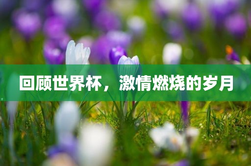 回顾世界杯，激情燃烧的岁月