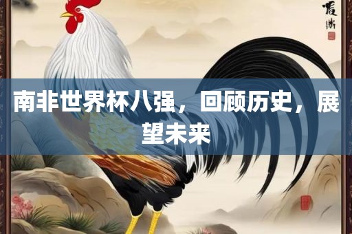 南非世界杯八强，回顾历史，展望未来