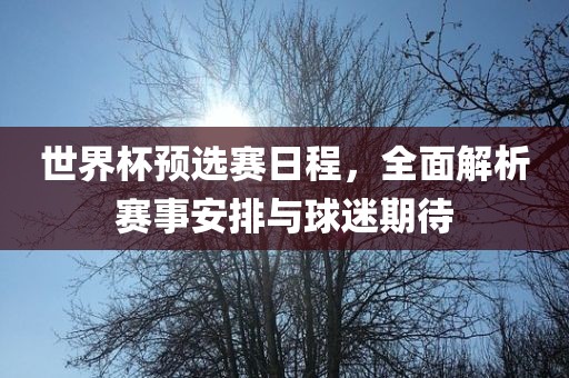 世界杯预选赛日程，全面解析赛事安排与球迷期待