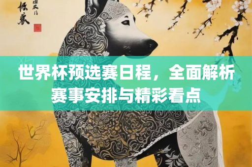 世界杯预选赛日程，全面解析赛事安排与精彩看点