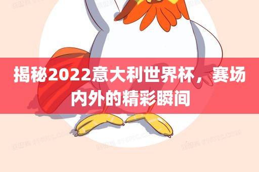 揭秘2022意大利世界杯，赛场内外的精彩瞬间