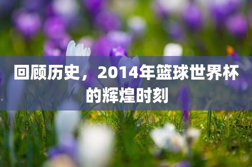 回顾历史，2014年篮球世界杯的辉煌时刻