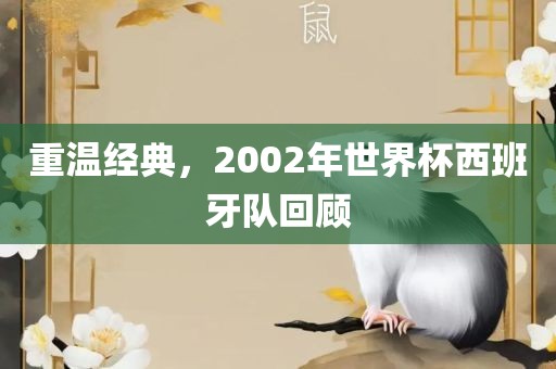 重温经典，2002年世界杯西班牙队回顾
