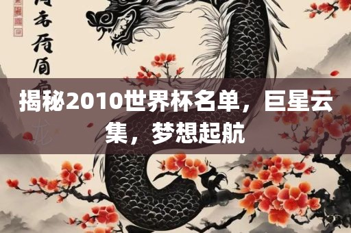揭秘2010世界杯名单，巨星云集，梦想起航